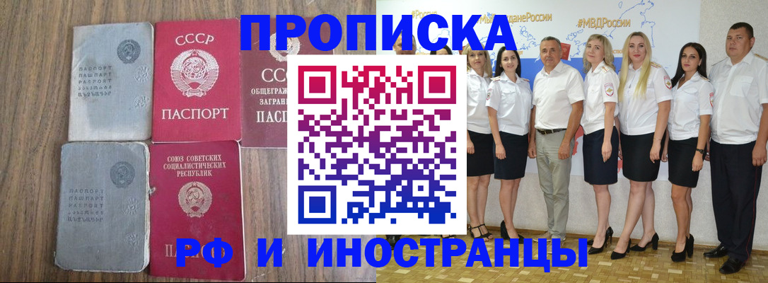 временная регистрация поиск в Курской области